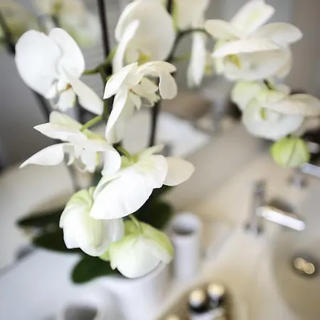 Villa Verde La Rochelle