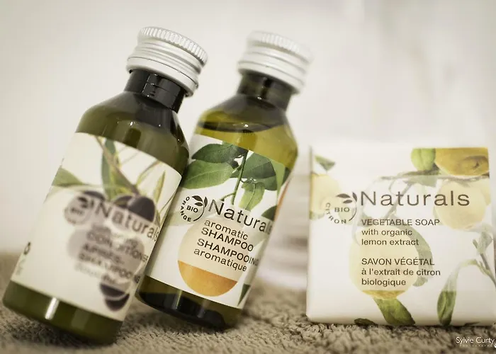 Villa Verde La Rochelle Hotel La Rochelle (Charente-Maritime)