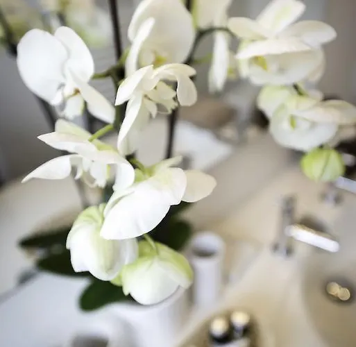 Villa Verde La Rochelle